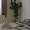 Отель Tópart Apartman, фото 4
