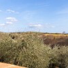 Отель Secluded Holiday Home in Bibbiano with Courtyard, фото 14
