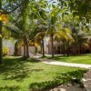 Отель Beautiful Private Villa for 16 PAX with garden, BBQ and pool, Playa del Carmen, фото 22