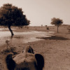 Отель Arya Haveli, фото 7