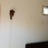 Отель Studio in Acerenza, With Furnished Garden, фото 19