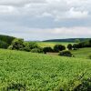 Отель Landgasthof Bergische Rhön, фото 17