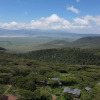 Отель Karibu Camps Lodges-Ngorongoro Lions Paw, фото 41