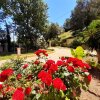 Отель House with 2 Bedrooms in Agios Mattheos, with Enclosed Garden And Wifi - 5 Km From the Beach, фото 34
