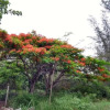 Отель Casa da Mamãe, фото 4