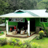 Отель Sukau Greenview Bed and Breakfast, фото 1