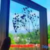 Отель Wujian Blossom House, фото 2