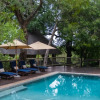 Отель Sabi Sabi Selati Camp, фото 5
