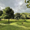 Отель The Box Promkiri - Hostel, фото 7