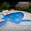 Отель Turtle Beach Lodge, фото 6