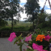 Отель The Knowe B&B, фото 4