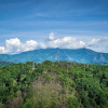 Отель Smoky's Grand View 5 Bedroom Home, фото 23