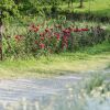 Отель Agriturismo Cascina Blon, фото 17