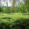 Отель Seebal Park Rest, фото 5