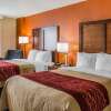 Отель Comfort Inn & Suites, фото 4