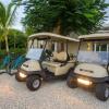 Отель Amazing Golf Villa at Luxury Resort in Punta Cana Includes Staff Golf Carts and Bikes, фото 24