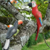 Отель Pousada Aconchego de Minas, фото 24
