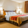 Отель Comfort Inn, фото 3
