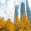 Отель Puqing Business Hotel, фото 26