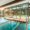 Отель, апартаменты и спа Wasa Resort Hotel, фото 16