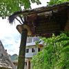 Отель Ramons Native Homestay and Restaurant, фото 22