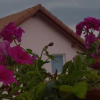 Отель Casa Lili, фото 8