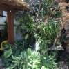 Отель Casa de Praia - Bosque de Geribá, фото 22
