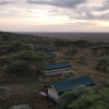 Отель Serengeti Woodlands Camp, фото 9