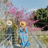 Отель Majagua Hotel Boutique Adults Only, фото 11