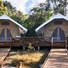 Отель Cardamom Tented Camp, фото 9