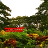 Отель Sacred Garden Fiji, фото 16