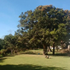 Отель Santiago, фото 38