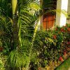 Отель Casa Blanca Boutique & Organic в Канкуне