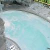 Отель Wildwood Inn Tropical Dome & Theme Suites, фото 15