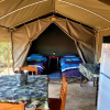 Отель Thorn Tree Bush Camp, фото 9
