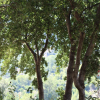 Отель Beit el Deek, фото 18