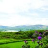 Отель Ring of Kerry Holiday Homes, фото 11