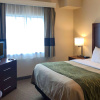 Отель Comfort Inn Early Brownwood, фото 18