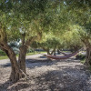 Отель Casa Faro Favignana, фото 9
