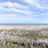 Отель Surfside Six E, 2 Bedrooms, Ocean Front, Sleeps 6, Wireless Internet, фото 15