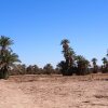 Отель Kasbah Desert Camp, фото 12