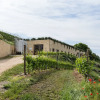 Отель Ca' del Moro Wine Retreat, фото 1