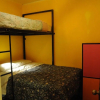 Отель Happy Tree Hostel, фото 5