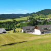 Отель Schwarzwaldblick Bernau im Schwarzwald, фото 4