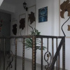 Отель Dracena Guesthouse, фото 11