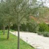Отель Chambres dHotes Villa LOlivière, фото 11