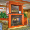 Отель Hampton Inn Commerce Novi, фото 2