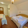 Отель Pensiunea Irina, фото 11