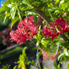 Отель Maruka Ishigakijima, фото 22