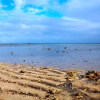 Отель Cocotiers Hotel – Rodrigues, фото 16